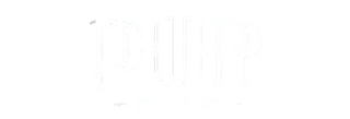 PUB CASINO logo